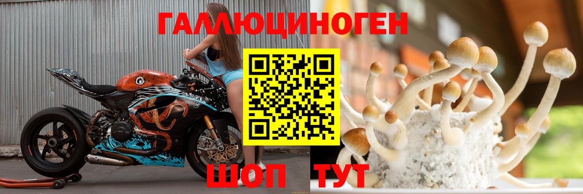 Галлюциногенные грибы Magic Shrooms  Псилоцибиновые грибы ЛСД  Туапсе  Вход с VPN 